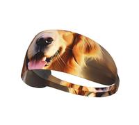 WHJWZY Diadema elástica para ejercicio, diadema suave y transpirable para correr, ciclismo, yoga y más adorable imagen de perro Golden Retriever