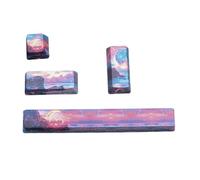Whltzf KeyCap Establece Altura OEM para Ingrese 6.25U Space 4pcs KeyCaps Fade Prueba para Teclados Mecánicos Actualizaciones Teclados Juegos Personalización