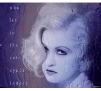 Who let in the rain [Single-CD]