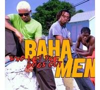 Who Let the Dogs Out by Baha Men