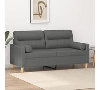 WHOPBXGAD Modern 2 Seater Sofa with Removable Cushions Dark Gray Fabric 140cm Wide Living Room Furniture for Relaxing and TV Watching Durable Comfortable