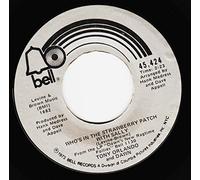 Who's In The Strawberry Patch With Sally - Dawn featuring Tony Orlando 7" 45