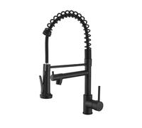 WHSY127 Pull-Down Kitchen Faucet with Dual Spray Function for Easy Cleaning and Versatility - Aqiong Beautiful