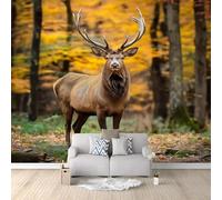 WHUOEUCO Papel Pintado 3D Alce Animal De Otoño 350x256 cm Fotomurales Tejido No Tejido Papel Tapiz Grande Murales Fotográfico Moderno Decoración de Paredes