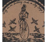 Why Are We Building Such a Big Ship