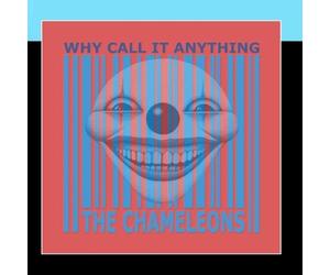 Why Call It Anything by The Chameleons