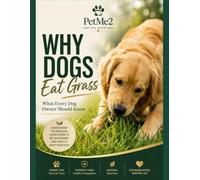 Why Dogs Eat Grass: What Every Dog Owner Should Know: What Every Dog Owner Should Know