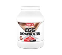 WHY SPORT EGG 100% Protein - Proteína sin lactosa - Proteína en polvo - Proteína de albúmina de huevo - Sabor Cacao - 750 gr