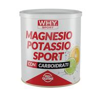 WHY SPORT Magnesio y Potasio Sport - Suplemento dietético con hidratos de carbono y sales minerales, sin gluten, sabor cítrico, 300 gr
