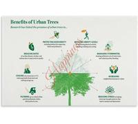 Why Trees Matter Green Infrastructure Educational Chart