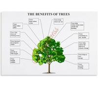 Why Trees Matter Green Infrastructure Poster Wall Art