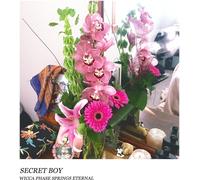 Wicca Phase Springs Eternal Secret Boy (Doublemint (Vinyl)