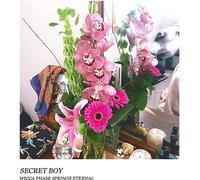 Wicca Phase Springs Eternal - Secret Boy [Vinilo Ltd Doublemint Green]