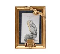 Widdop and Co Warner Bros Harry Potter Alumni Marco de fotos dorado Hedwig
