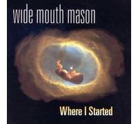 Wide Mouth Mason - Where I Started [Vinilo]