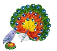 Wide Perch: The Bird Perch Features a Generously Wide Flat Standing Area, a