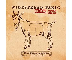 Widespread Panic - Choice Cuts: the Capricorn Years 1991 - 99