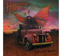 Widespread Panic - Dirty Side Down