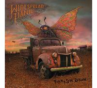 Widespread Panic Dirty Side Down (CD) (Importación USA)
