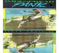 Widespread Panic - Space Wrangler