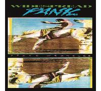 Widespread Panic: Space Wrangler