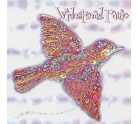 Widespread Panic - Til the Medicine Takes