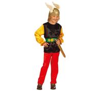 Widmann Gaulois (Coat, Pants, Belt) (140 cm / 8-10 Years) Different Colors