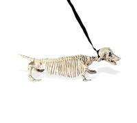 WIDMANN ? Perro salchicha Esqueleto con Correa Unisex-Adult, blanco, 55 cm, vd-wdm07093