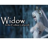 Widow in the Endless Labyrinth (PC) Steam Gift - EU