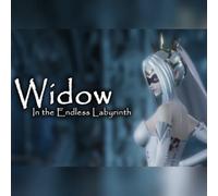 Widow in the Endless Labyrinth (PC) Steam Gift - GLOBAL