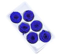 Widybord 6 piezas flor de la vida conservada 5-6 cm cabeza de rosa decoración de fiesta de boda, día de la madre, regalo hecho a mano, flores fáciles de instalar, fácil de usar, E