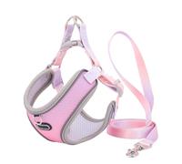Widybord - Conjunto de arnés y correa antifugas para gatos, arnés ajustable para perro, chaleco para cachorro, correa de caminata para mascotas, fácil de usar (B
