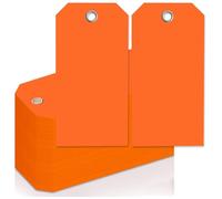 Widybord Etiquetas de envío 4 3/4 PB X 2 3/8 PB Etiquetas Volantes robustas en blanco con agujeros reforzados Etiquetas de equipaje Inscriptibles, duraderas y fáciles de instalar C