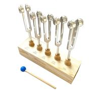 Widybord Kit de 5 Diapasones de Acero Inoxidable para Terapia de Chakras y Armonización Terapéutica para Fingerboard
