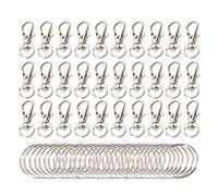 Widybord - Lote de 60 llaveros, clip de ganchos, cerraduras giratorias, cordón de mosquetones con llaveros divididos (plata)
