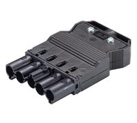 Wieland Gesis Classic 5P Conector de tornillo 20A - 92.954.4053.1 [50 Piezas]