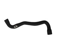 WIELEN COMPATIBLE CON MANGUERA INTERCOOLER TUBO DE AIRE RENAULT MEGANE SCENIC II 1.5 DCI 8200590198
