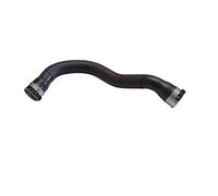 WIELEN Compatible con manguito Intercooler Tubo Turbo Aire Fiat TALENTO NISSAN NV300 OPEL VIVARO B RENAULT TRAFIC III 1.6 DCI 144606126R