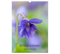 Wiesenblumen (Wandkalender 2026 DIN A3 hoch), CALVENDO Monatskalender: Die kleinen wilden Blumen von den Wiesen und Feldern