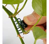 Wifehelper 100 Unids Clips de Soporte de Planta Clips de Jardín Plásticos Mini Tallos Herramientas de Jardín de Flores Clips de Tallo Crecer Orquídea Vertical