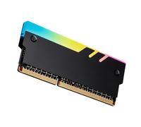 Wiffe ARGB - Disipador de calor iluminado para módulo de memoria DDR5 DDR4 DDR3 DDR2 que mejora tanto estilos como funciones, enfriadores de memoria de metal con ARGB