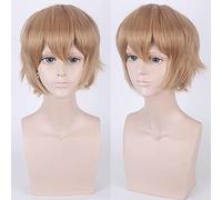 Wig for Carnival Nightlife CluI Party Dress Up Wig Cos Wig Juvenile Reverse Warped Short Hair Color Universal Men'S Wig Cosplay Anime Wig Color:002-33