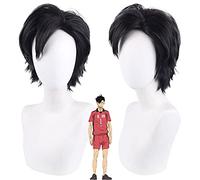 Wig for Carnival Nightlife CluI Party Dress Up Wig Cosplay Wig Volleyball Teenager Black Tail Tetsuro Black Wig