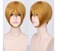 Wig for Halloween Fashion Christmas Party Dress Up Wig Cosplay Wig Multicolor Universal Face Short Hair Msn Black And White Short Hair Bobo Headgear Wig Color:K047-20 Golden Yellow