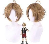 Wig for Halloween Fashion Christmas Party Dress Up Wig Cosplay Wig Rebirth Without A Job Rudius Gerrard Actor Mantis Nest