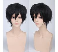 Wig for Perfect for everyday parties Cos Wig Juvenile Reverse Curled Short Hair Color Universal Men'S Wig Cosplay Anime Wig Color:Pl-002-7#Black