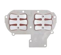 WIHFHGZ Válvula de Láminas para Motor Fuera de Borda, Aleación de Aluminio e Hierro, para Motor 2 Tiempos 30HP - Mejor Rendimiento y Fiabilidad, Fácil Instalación para Aficionados y