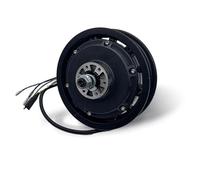 Wiizzee WS11 MAX Motor, Unisex-Adult, Nero, One Size
