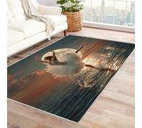 WIKEO Alfombra Moderna de Pelo Corto Inferior Playa Puesta De Sol Chica Baile Antideslizante Lavable Alfombras Vintage Rug,Dormitorio Habitación Infantil Oficina(Blanco - 52-90x120cm