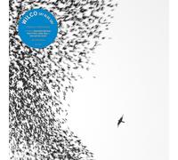 Wilco Sky Blue Sky (Vinyl) 12" Album Coloured Vinyl (Limited Edition)